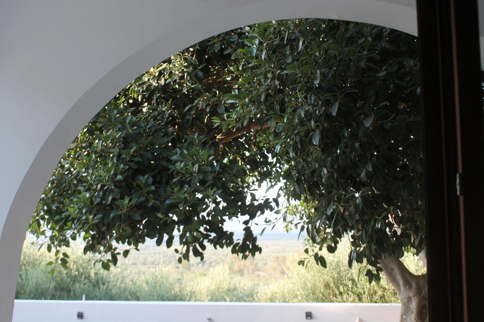 A Crystal Clear House In Pyrgos, Heraklion Crete Pirgos  Екстер'єр фото
